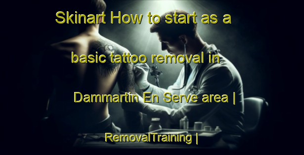 Skinart How to start as a basic tattoo removal in Dammartin En Serve area | RemovalTraining | RemovalClasses | SkinartTraining-France